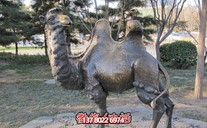 創(chuàng)意大型玻璃鋼駱駝雕塑，在草地上擺放，一眼回頭