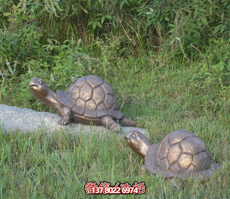 戶外草坪不銹鋼爬行的烏龜雕塑 戶外草坪不銹鋼爬行的烏龜雕塑